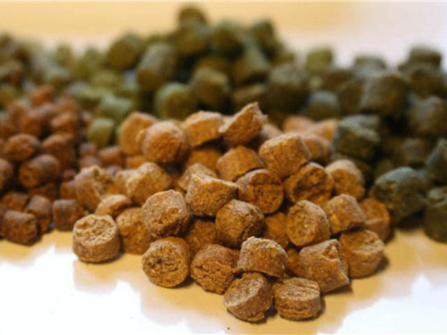 Что такое пеллетс для рыбалки и как им пользоваться?