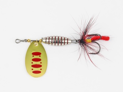 ROL-BUG10,5-01054 (3)